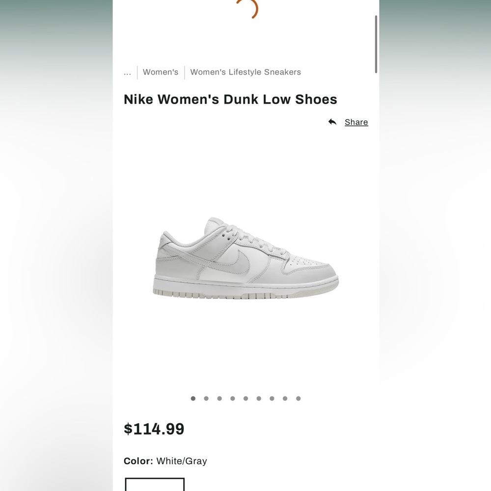Nike Women’s Dunks Gray Fog US 8